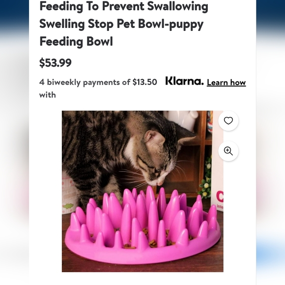 HOST PICK🎉  NIB Slow Feeding Bowl - Picture 6 of 6